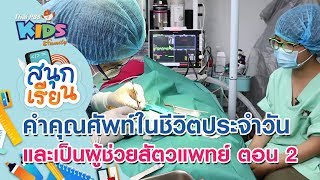 คำคุณศัพท์ในชีวิตประจำวัน และเป็นผู้ช่วยสัตวแพทย์ ตอน 2 : สนุกเรียน (3 มิ.ย. 63)