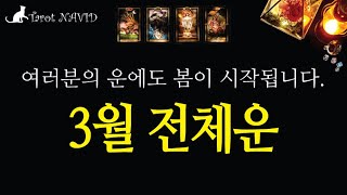 [타로] 3월 전체운 🔮봄과 함께 시작되는 기대해도 좋은 여러분의 3월🍀💶