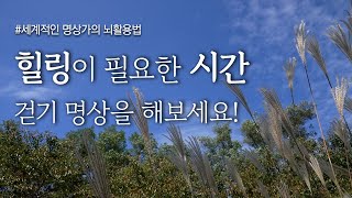 힐링 명상법, 일상 스트레스를 해소하는 걷기 명상가이드