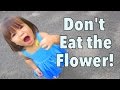 DON'T EAT THE FLOWER! - July 25, 2014 - itsJudysLife Daily Vlog