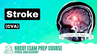 Stroke (CVA) | NBCOT Exam Prep | OT Dude Academy