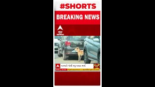 Surat Dog Terror | નવ વર્ષના બાળકને રસ્તામાં કૂતરાઓએ ઘેર્યો અને પછી... જુઓ વીડિયો