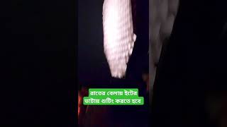 রাতের বেলায় ইটের ভাটায় শুটিং করতে হবে #shortvideo