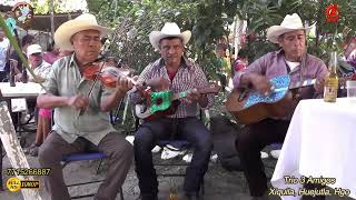 Trio 3 Amigos de Xiquila, Huejutla, Hidalgo Video 2