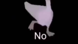 No duck