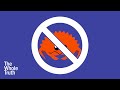 10 Reasons Not To Use Rust (The Whole Truth)