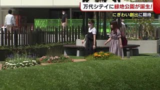 万代シテイに芝生エリア♪　「緑があって気持ちがいい」　改修工事進む【新潟】 (21/07/16 19:29)