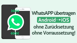 WhatsApp von Android auf iPhone übertragen? Keine Vorraussetzung begrenzt! (-iOS 16/iPhone 14)