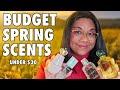 SMELL GREAT ON A BUDGET! | Affordable Perfume Collection 2024