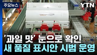 '과일 맛' 이젠 눈으로 확인하세요...단맛·신맛 구별 쉬워진다 / YTN