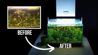 AQUARIUM water turned BROWN | EP2 NO FILTER NO CO2 WALSTAD METHOD aquarium