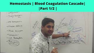 Hemostasis | Blood Coagulation Cascade Part 1/2 | | Subash Acharya