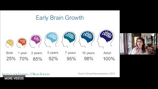 Building Brains: Exploring the Science of Early Brain Development