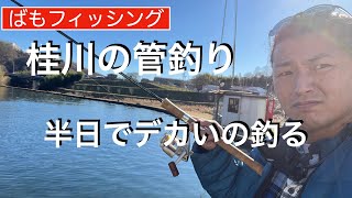 格安管理釣り場！桂川フライルアー釣り場 半日で大物ニジマスを釣り上げた！