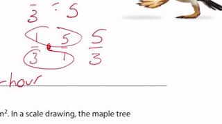7th Math Lesson 2 Session 2