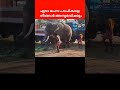 മരമണ്ടൻ പാപ്പാന്മാർ elephant video shorts