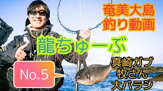 No.5 奄美大島 瀬戸内町 真崎 巨大 尾長グレ バラシ 牧さん KURO FISHING AMAMI サンフラワーシティホテル