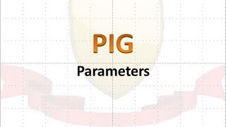 10 PIG with Parameters