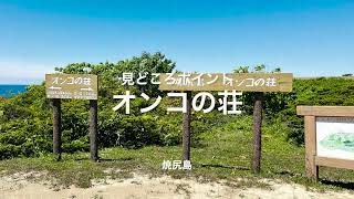 scenic spot stand of yew trees Yagishiri Island (Hokkaido Haboro Town)