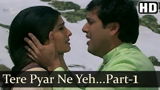 Tere Pyar Ne - Govinda - Raveena Tandon - Rajaji - Udit Narayan - Anand Milind - Hindi Hit Songs