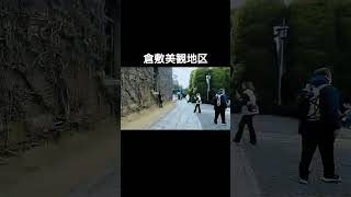 【倍速散歩】倉敷美観地区,岡山県/Kurashiki, Okayama Pref. #vlog #kurashiki #風景