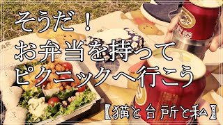 【Vlog】＃42 ポカポカ陽気つられピクニックへ/猫のお手の訓練【お弁当】【ピクニック】