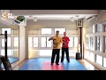 Jin (Ging) in Taijiquan and internal Wing Chun