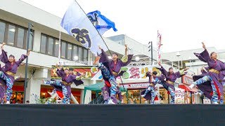 [4K]河内連　堺よさこいかえる祭り2017 いずみがおか広場会場（広角）