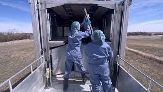 Agrivita Activity: 1 Improving Animal Biosecurity and Welfare during Transport