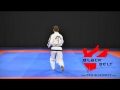 yul gok by jaroslaw suska www.tkd blackbelt.com