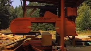 Mizer Portable Saw Mill \u0026 Skidder at Wildwood forest