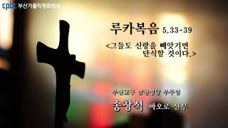 오늘의 강론(2021.09.03) - 부산교구 남천성당 부주임 송창석 바오로 신부님