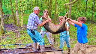 Taking care of a PROBLEM!