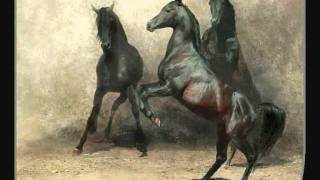 Mateus - Filme sobre cavalos.wmv