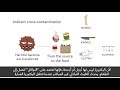 Food Safety Module 3: Preventing Food Contamination- EXPO 2020(English with Arabic subtitle)