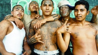 Documentaire - La Guerre Raciale à Los Angeles - Gangs Latinos vs Gangs Noirs
