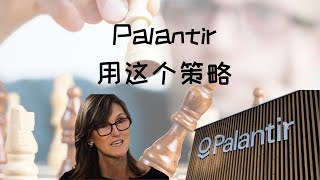 Palantir：用这个策略～