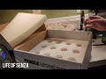 unboxing video from greenfire farms day 1 of hatching super rare eggs