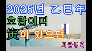 2025년 을사년 운세 ♤ 호랑이띠 \u0026 寅 - 피클의 행복한 명리