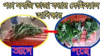 পচা সবজি তাজা করার কেমিক্যাল আবিস্কার,Chemical invention to keep rotten vegetables fresh,