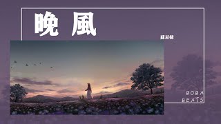 蘇星婕 - 晚風『晚風把你吹進我的夢裡呀 醒來以後風散了好可惜記不得』【Lyrics Video】