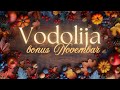 VODOLIJA Čeka te u Novembru  izvanredan obrt u životu 🌟 BONUS NOVEMBAR 2024🌟horoskop tarot citanje