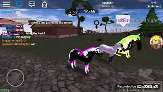 Roblox Horse World How To Get Wolf Horse Free Robux Generator