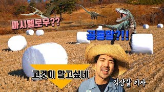 시골에 마시멜로우가 있는 이유?? 혹시 공룡알?!! by 김상팔 기자(곤포 사일리지)