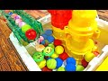 Water Marble Run Race! Transparent Water Tank + Transparent Slider + Kumikumi Slope + HABA Long ver