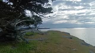 Waking up on Saturna Island, Gulf Islands, BC