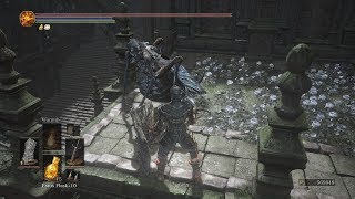 Dark Souls III: All White-faced Locust Sermons