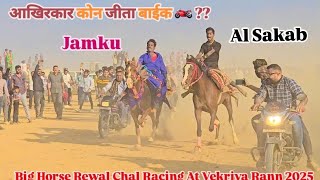 अल सकब ऑर झमकू की काटेकीटक्कर| Big Horse Rewal Chal Racing At Vekriya Rann 2025