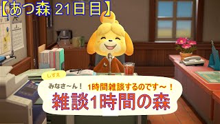 【あつ森 21日目】 きっかり1時間雑談の森‼