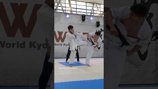 Knockout at The 6th WKB European Kyokushin Championship